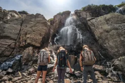 Hiking & Lifestyle Packs-Kelty Redwing 50