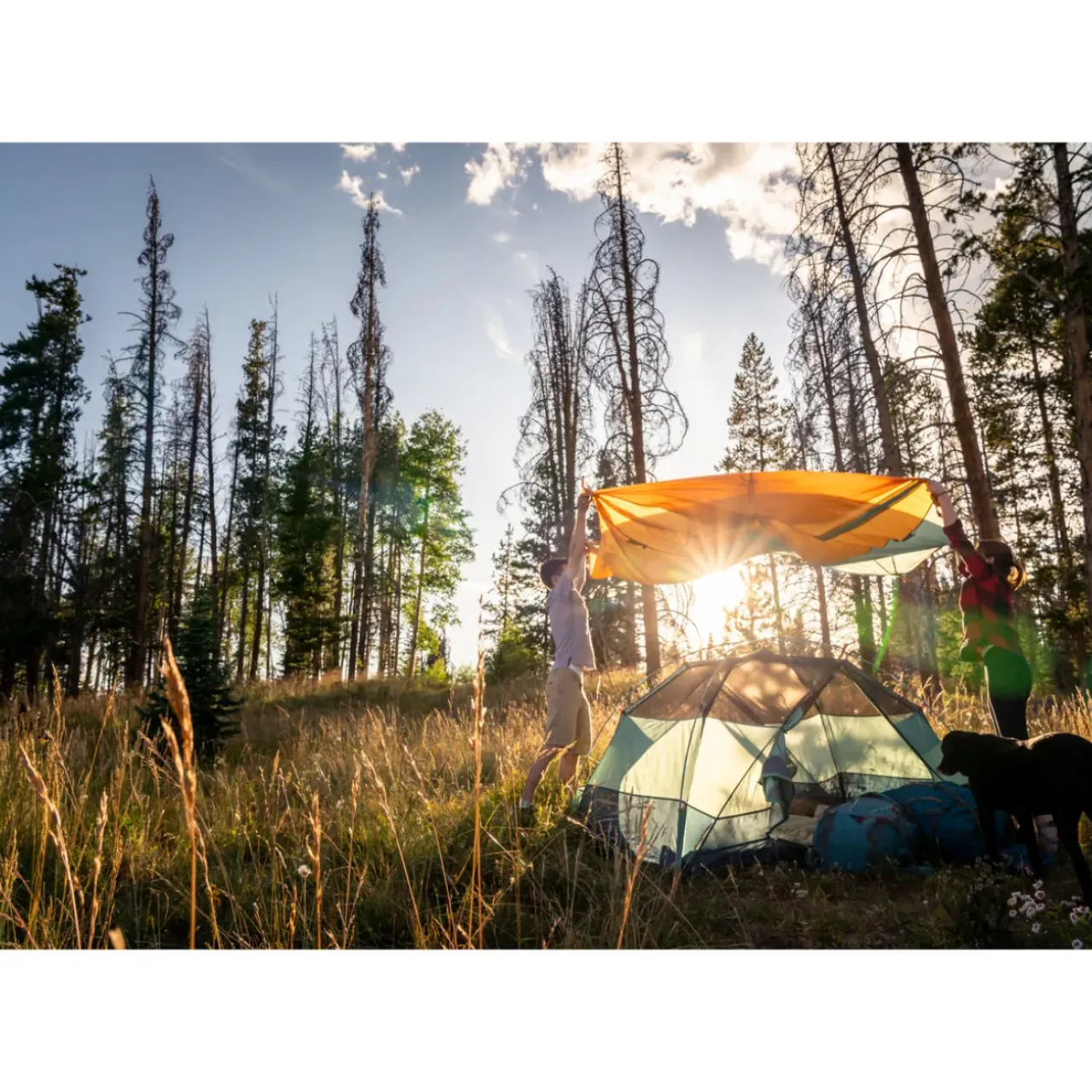 Kelty Family|Camping Tents-Kelty Wireless 6
